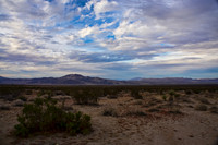 Palm Springs, CA