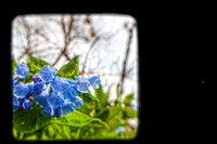 TTV images